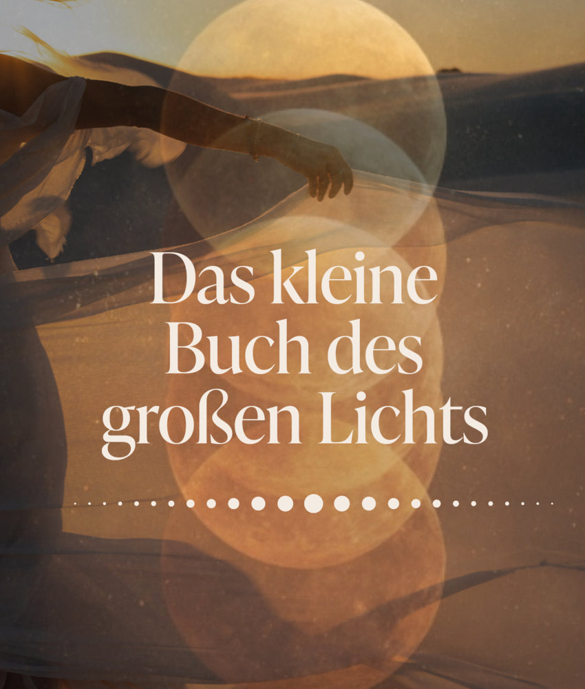Das kleine Buch des großen Lichts (Laura Malina Seiler)