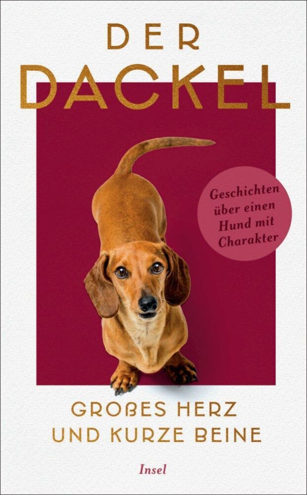 Der Dackel. Großes Herz und kurze Beine. (Gesine Dammel)