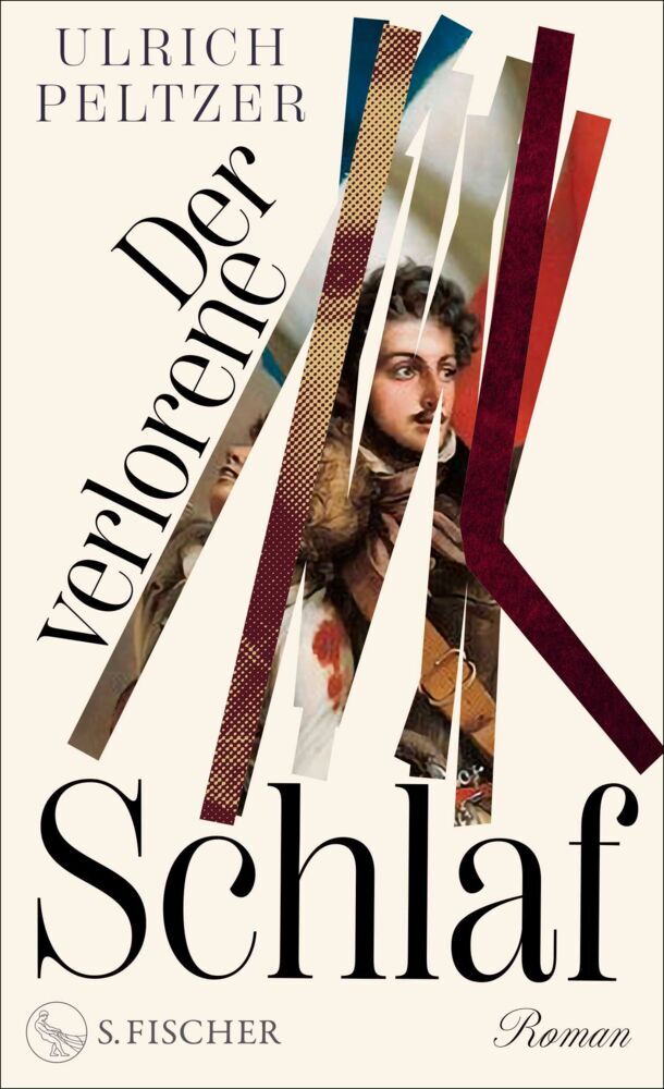 Der verlorene Schlaf (Ulrich Peltzer)