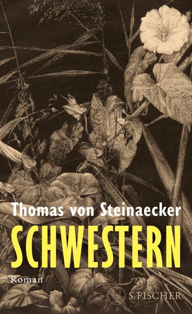 Schwestern (Thomas Von Steinaecker)