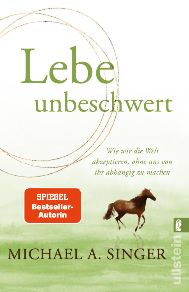 Lebe unbeschwert (Michael A. Singer)