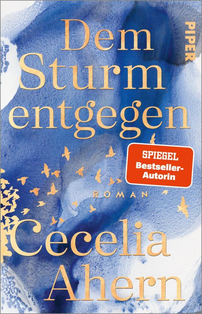 Dem Sturm entgegen (Cecelia Ahern)