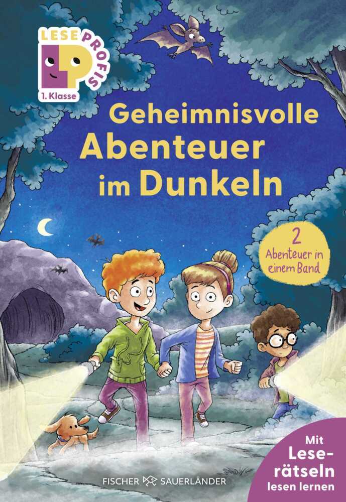 Leseprofis - Geheimnisvolle Abenteuer im Dunkeln, 1. Klasse (Doppelband) (Thilo)