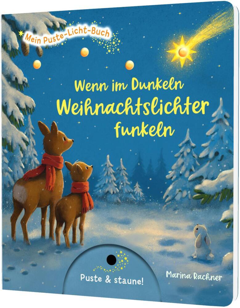 Mein Puste-Licht-Buch: Wenn im Dunkeln Weihnachtslichter funkeln (Sylvia Tress)