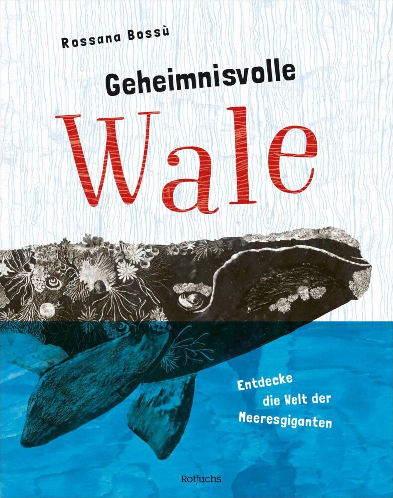 Geheimnisvolle Wale - Entdecke die Welt der Meeresgiganten (Rossana Bossù)