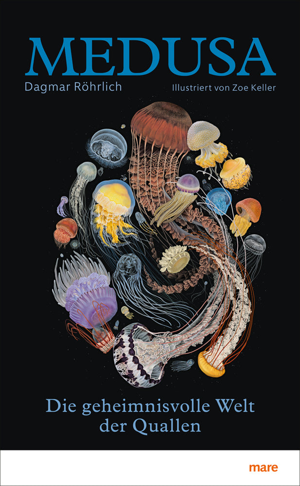 Medusa (Dagmar Röhrlich)