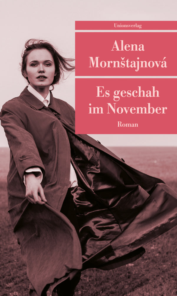 Es geschah im November (Alena Mornstajnová)