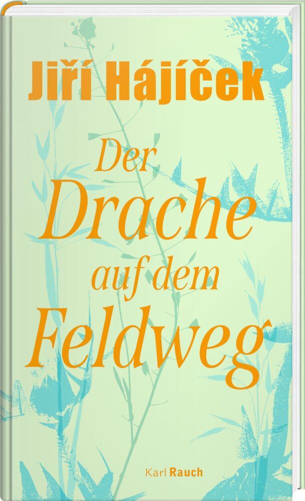 Der Drache auf dem Feldweg (Jirí Hájícek)