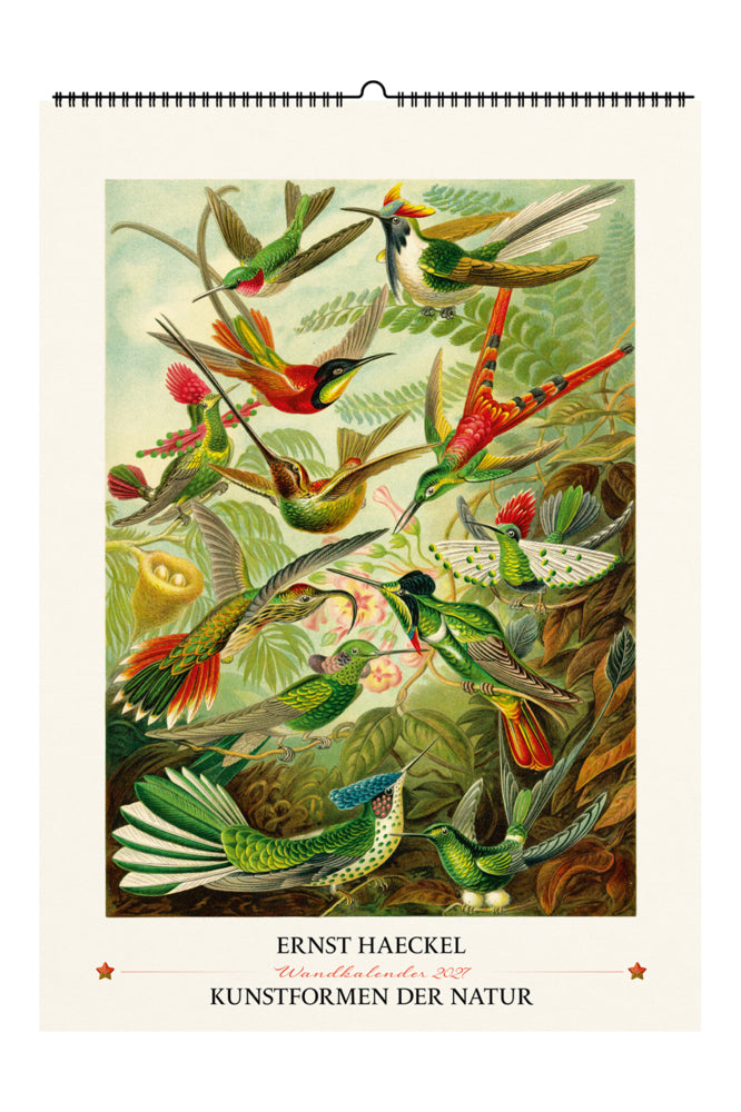 Ernst Haeckel. Kunstformen der Natur. Wandkalender 2027