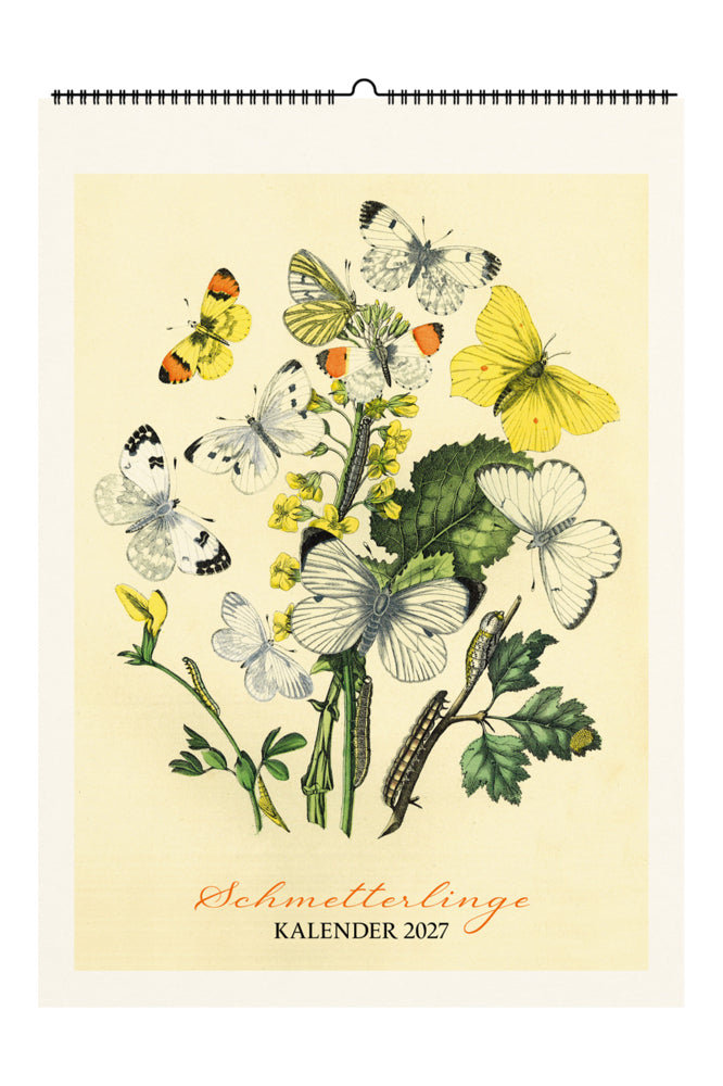 Schmetterlinge. Wandkalender 2027