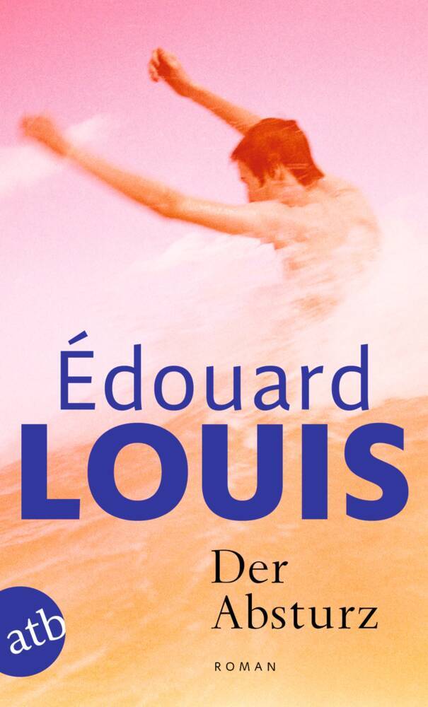 Der Absturz (Édouard Louis)