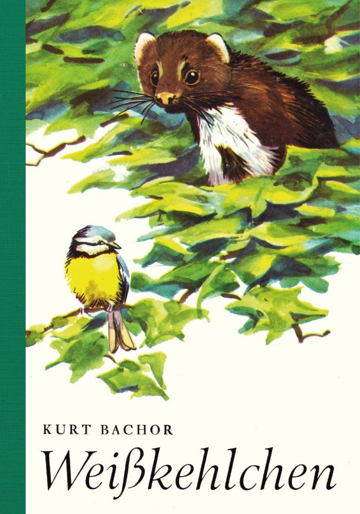 Weißkehlchen (Kurt Bachor)