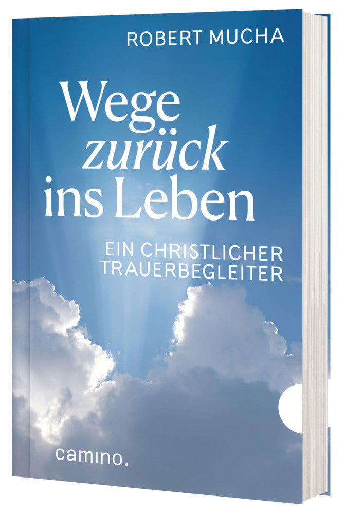 Wege zurück ins Leben (Robert Mucha)
