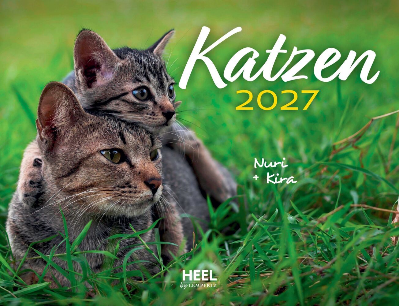 Katzen 2027 Eintragkalender