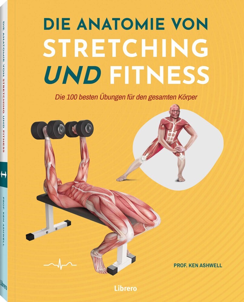 Die Anatomie von Stretching und Fitness (Ken Ashwell)