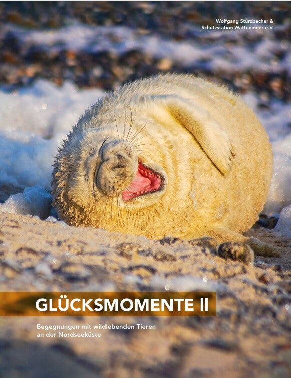 Glücksmomente II (Wolfgang Stürzbecher)