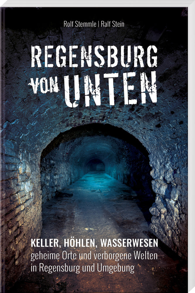 Regensburg von unten (Rolf Stemmle)