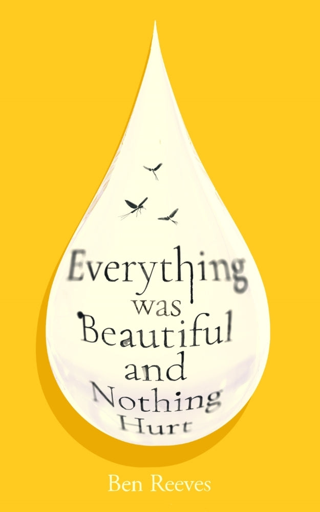 Everything was Beautiful and Nothing Hurt (Ben Reeves)