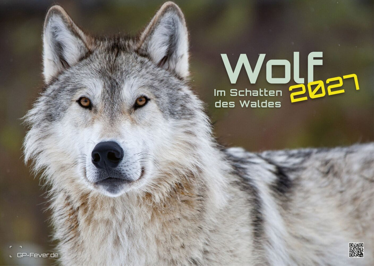 Wolf - Im Schatten des Waldes - 2027 - Kalender DIN A3 (Gp-Fever.De)