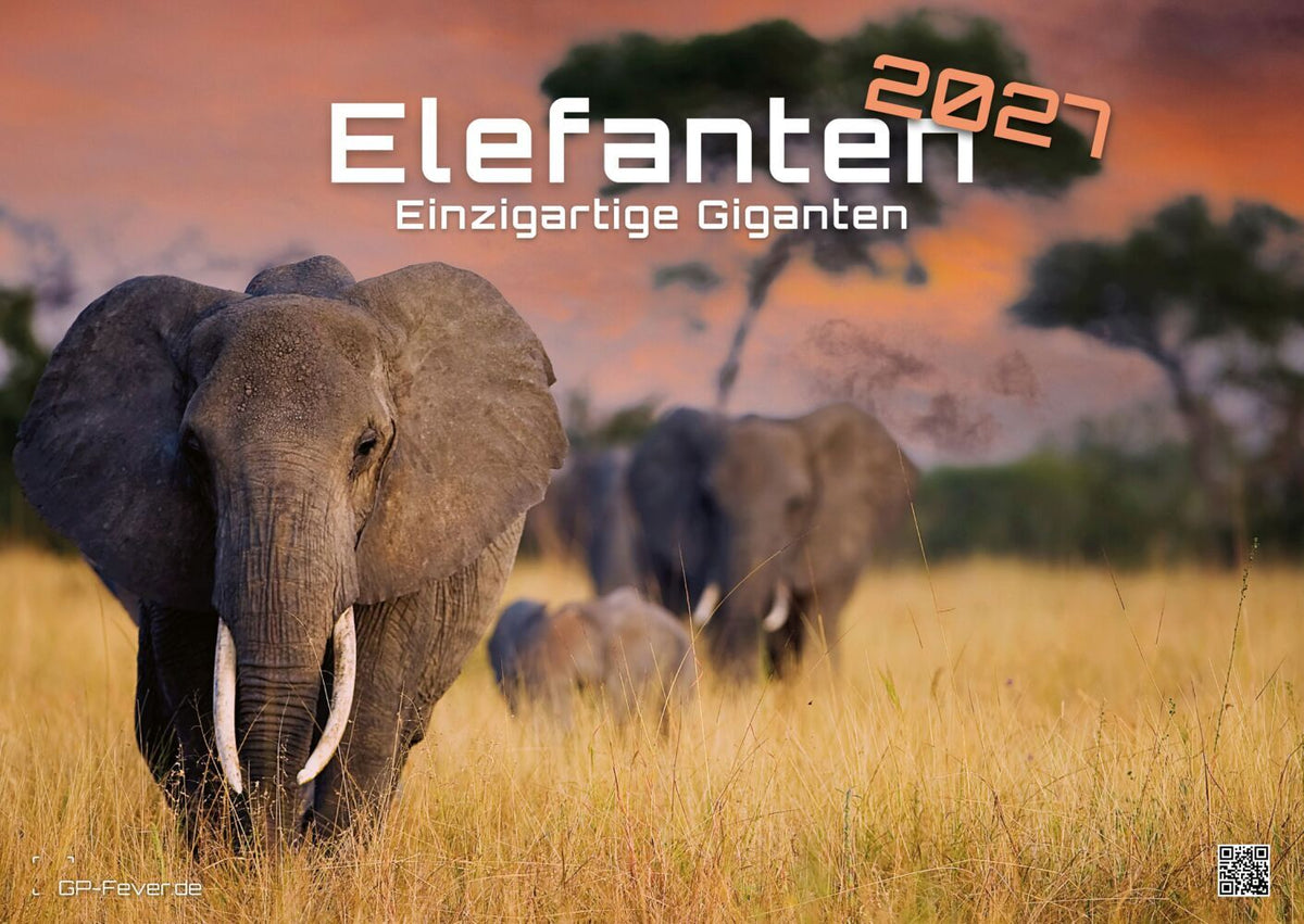 Elefanten - einzigartige Giganten - 2027 - Kalender DIN A2 (Gp-Fever.De)