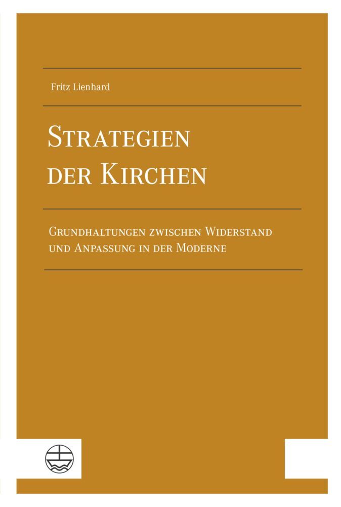 Strategien der Kirchen (Fritz Lienhard)