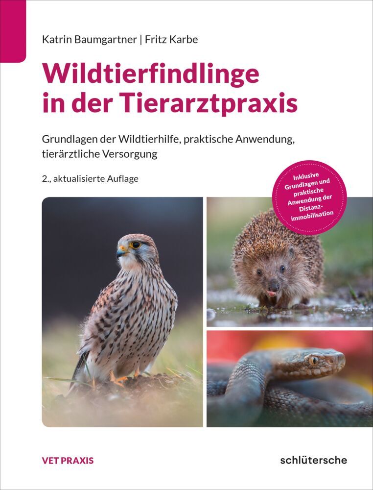 Wildtierfindlinge in der Tierarztpraxis (Katrin Baumgartner)