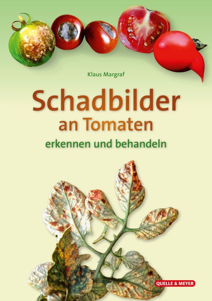Schadbilder an Tomaten (Klaus Margraf)
