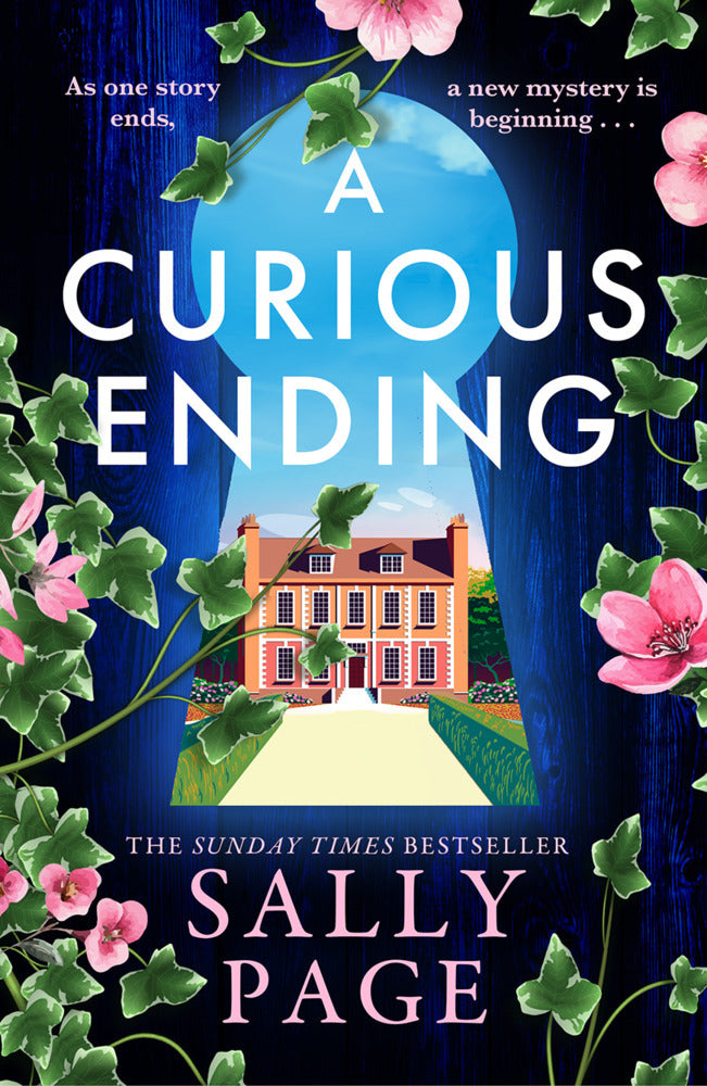 A Curious Ending (Sally Page)