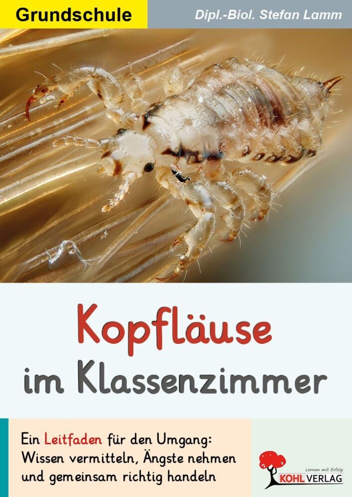 Kopfläuse im Klassenzimmer (Stefan Lamm)