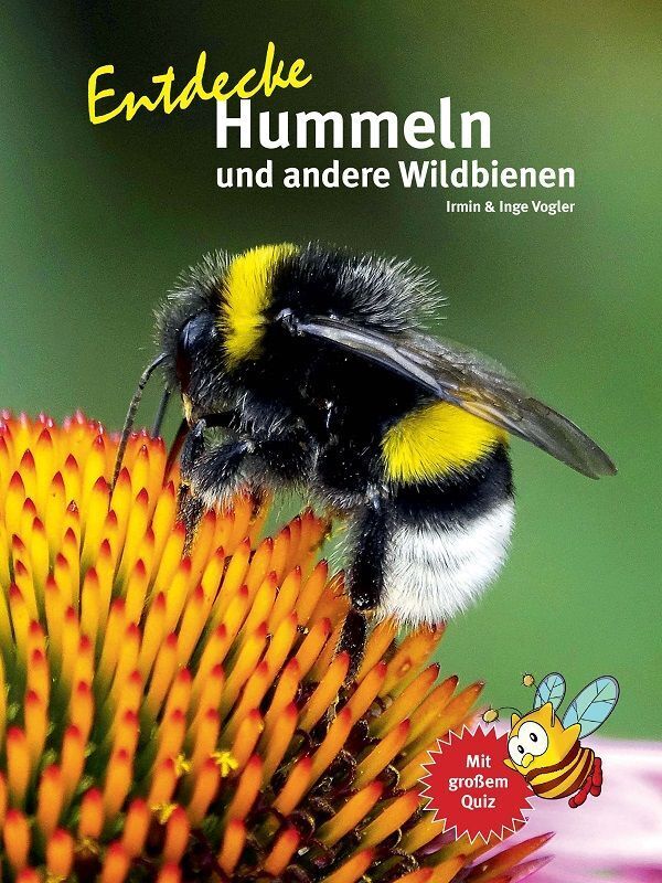 Entdecke Hummeln und andere Wildbienen (Inge Vogler)