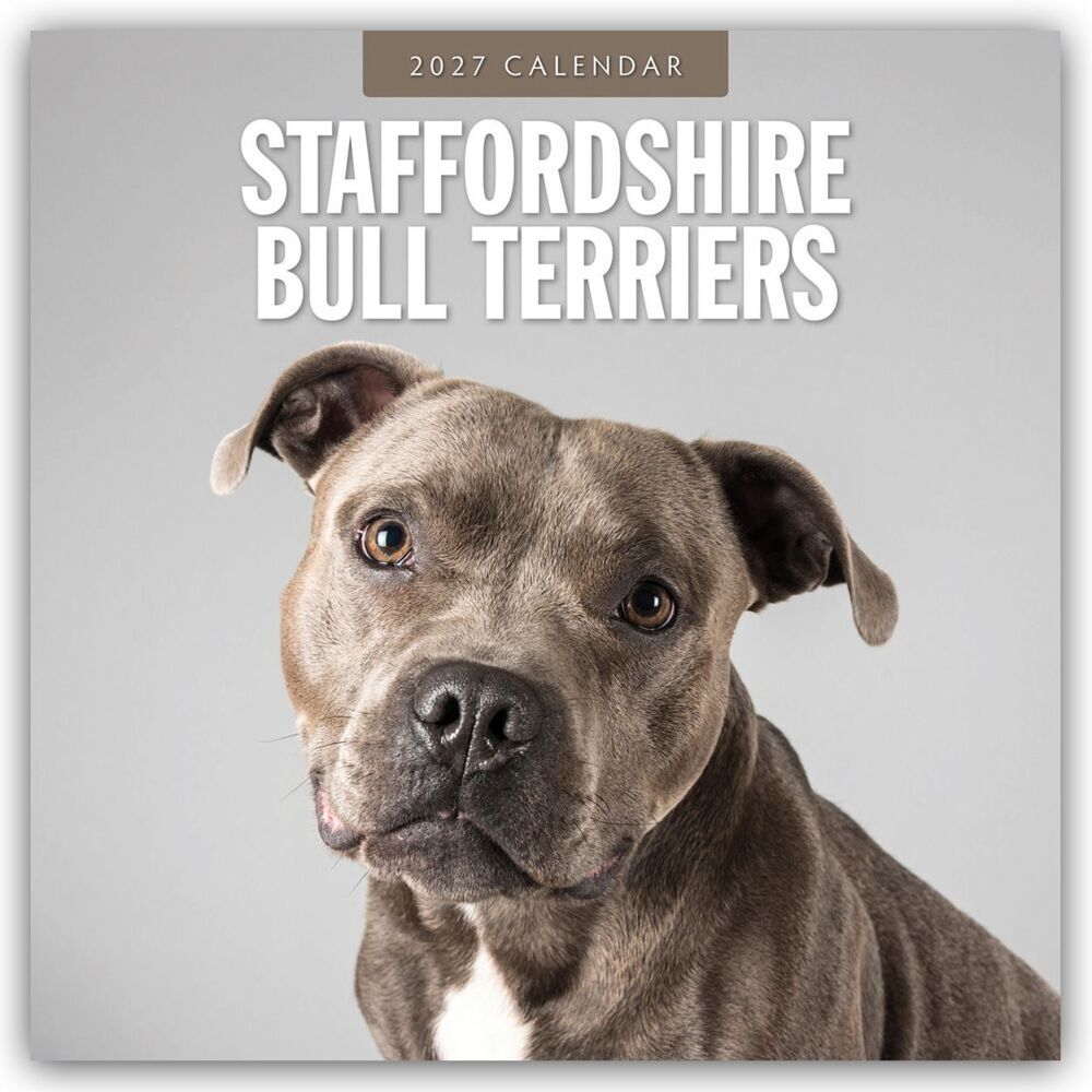 Staffordshire Bull Terriers - Staffordshire Bullterrier 2027 - 16-Monatskalender (Red Robin Publishing Ltd)