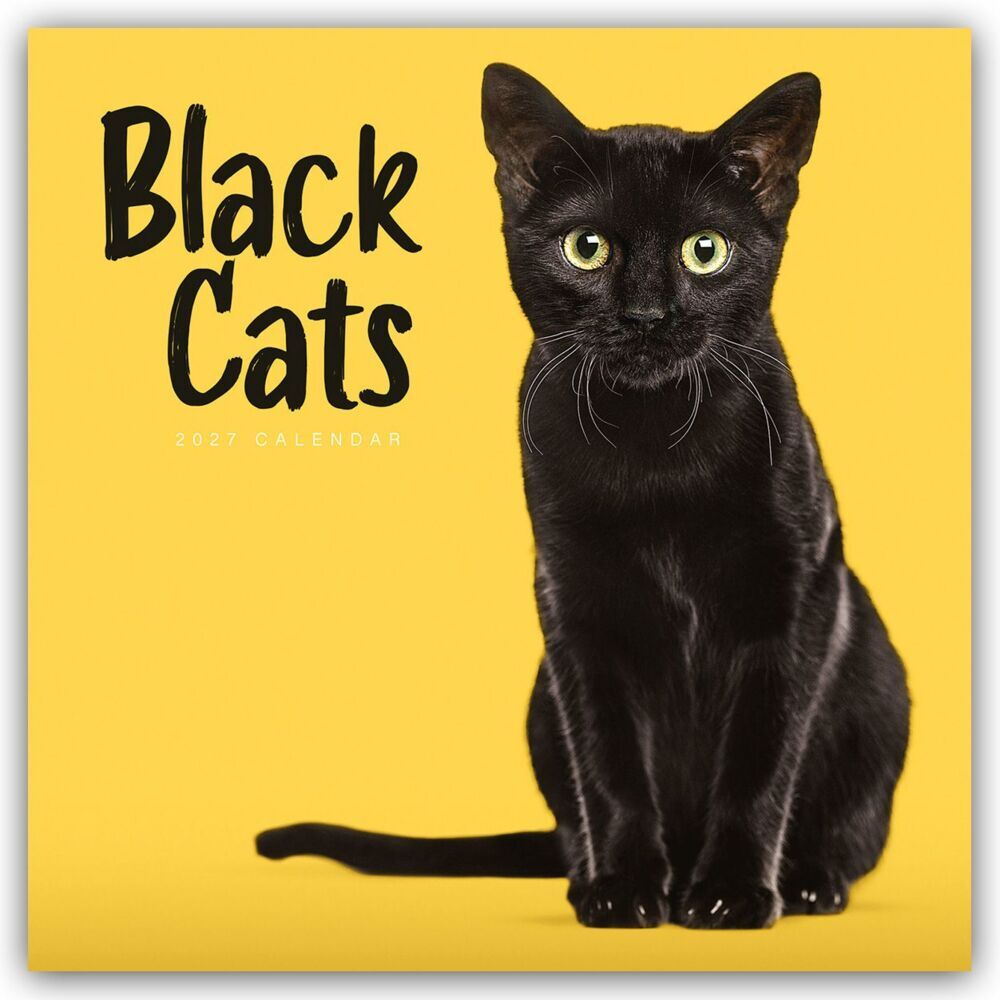 Black Cats - Schwarze Katzen 2027 - Wand-Kalender (Carousel Calendar)