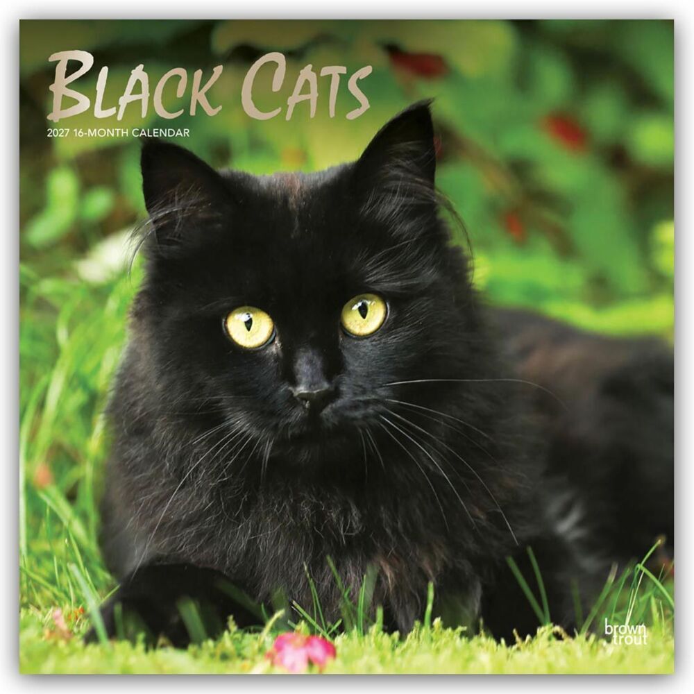 Black Cats - Schwarze Katzen 2027 - 16-Monatskalender (Browntrout Publishers Inc)