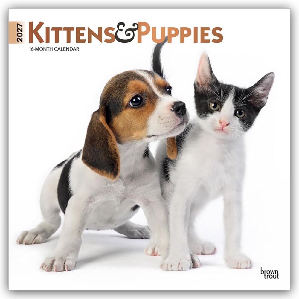Kittens & Puppies - Kätzchen & Welpen 2027 - 16-Monatskalender (Browntrout Publishers Inc)