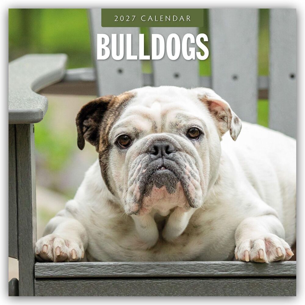 Bulldogs - Bulldoggen 2027 - 16-Monatskalender (Red Robin Publishing Ltd)