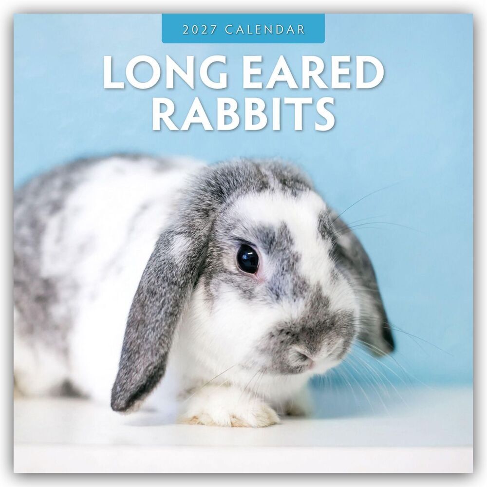 Long Eared Rabbits - Langohrhasen 2027 - 16-Monatskalender (Red Robin Publishing Ltd)