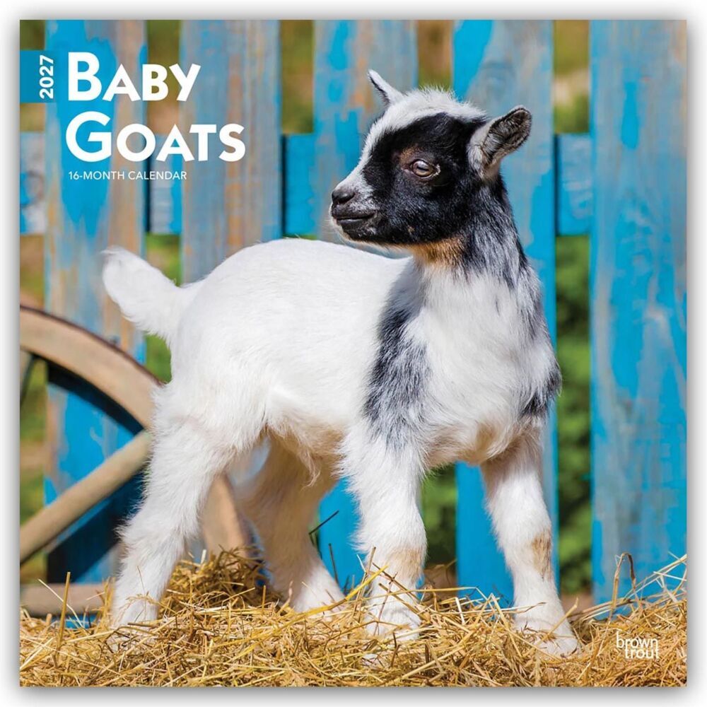 Baby Goats - Ziegenbabys 2027 - 16-Monatskalender (Browntrout Publishers Inc)