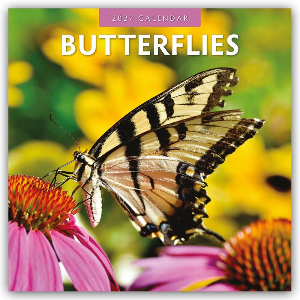 Butterflies - Schmetterlinge 2027 - 16-Monatskalender (Red Robin Publishing Ltd)