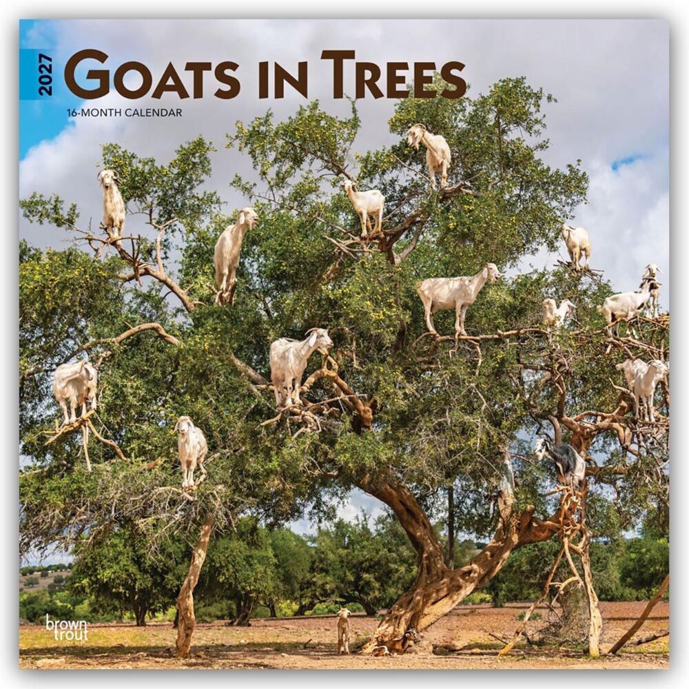 Goats in Trees - Ziegen in Bäumen 2027 - 16-Monatskalender (Browntrout Publishers Inc)