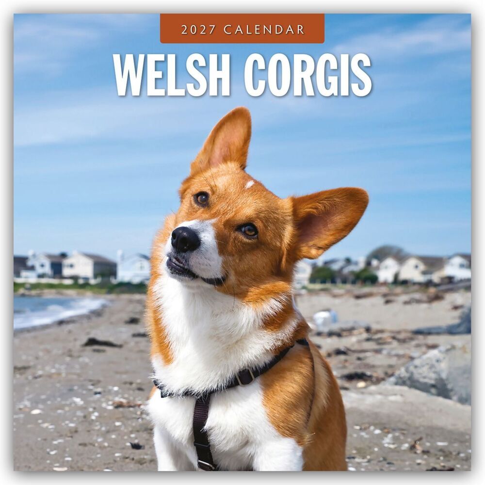 Welsh Corgis - Welsh Corgi 2027 - 16-Monatskalender (Red Robin Publishing Ltd)