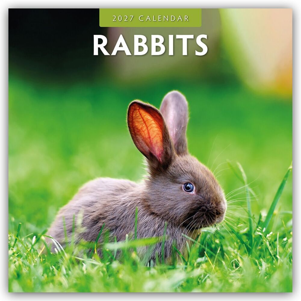 Rabbits - Hasen - Kaninchen 2027 - 16-Monatskalender (Red Robin Publishing Ltd)