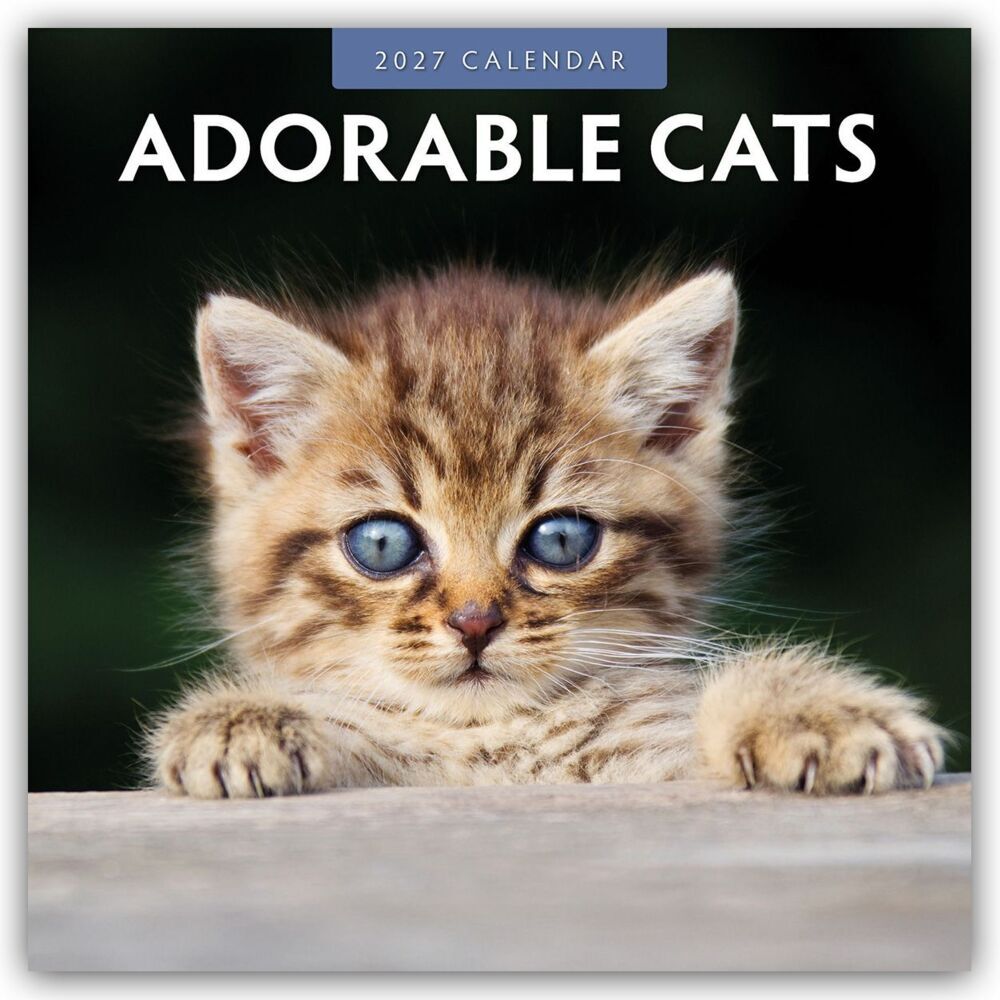 Adorable Cats - Liebenswerte Katzen 2027 - 16-Monatskalender (Red Robin Publishing Ltd)