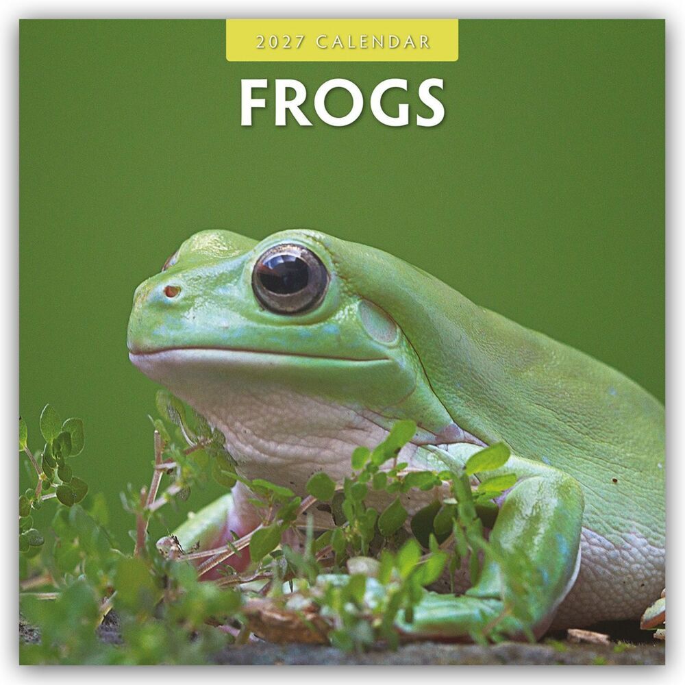 Frogs - Frosch - Frösche 2027 - 16-Monatskalender (Red Robin Publishing Ltd)