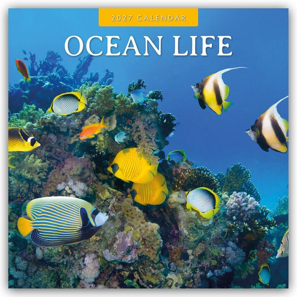 Ocean Life - Leben im Ozean 2027 - 16-Monatskalender (Red Robin Publishing Ltd)