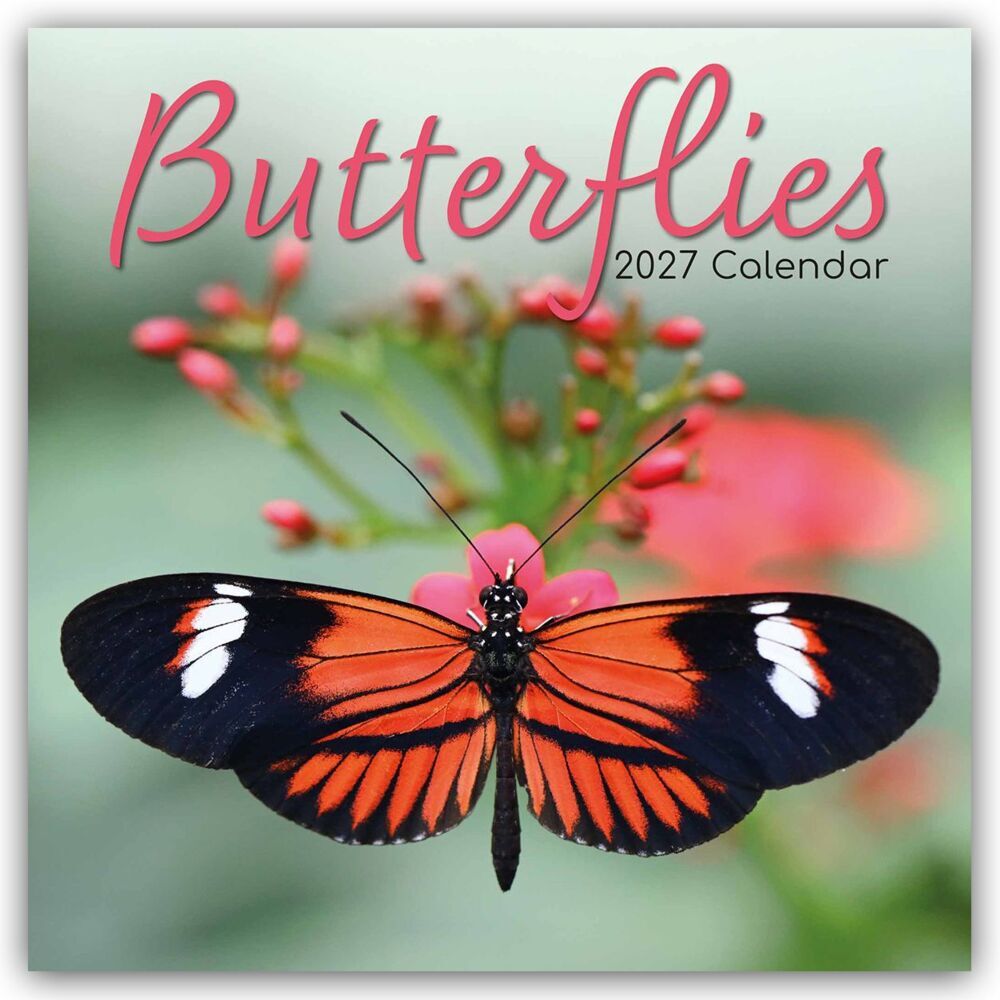 Butterflies - Schmetterlinge 2027 - 16-Monatskalender (Gifted Stationery Co. Ltd)