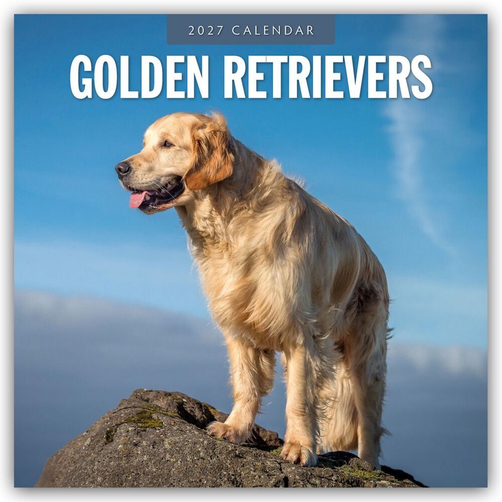 Golden Retrievers - Golden Retriever 2027 - 16-Monatskalender (Red Robin Publishing Ltd)