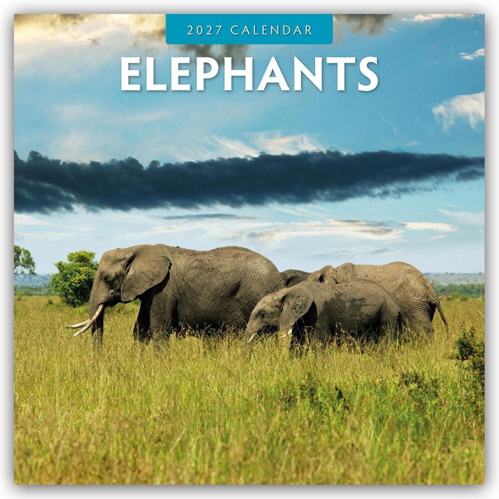 Elephants - Elefanten 2027 - 16-Monatskalender (Red Robin Publishing Ltd)