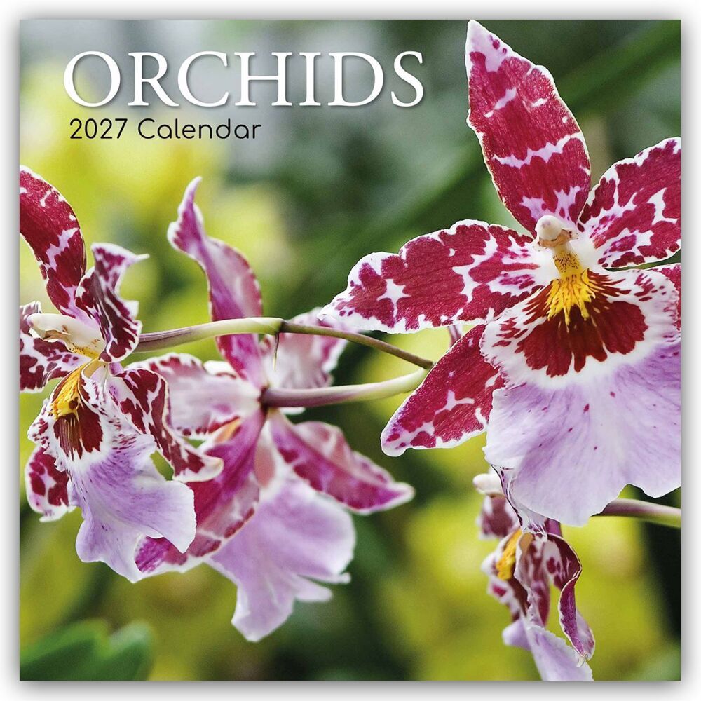 Orchids - Orchideen 2027 - 16-Monatskalender (Gifted Stationery Co. Ltd)