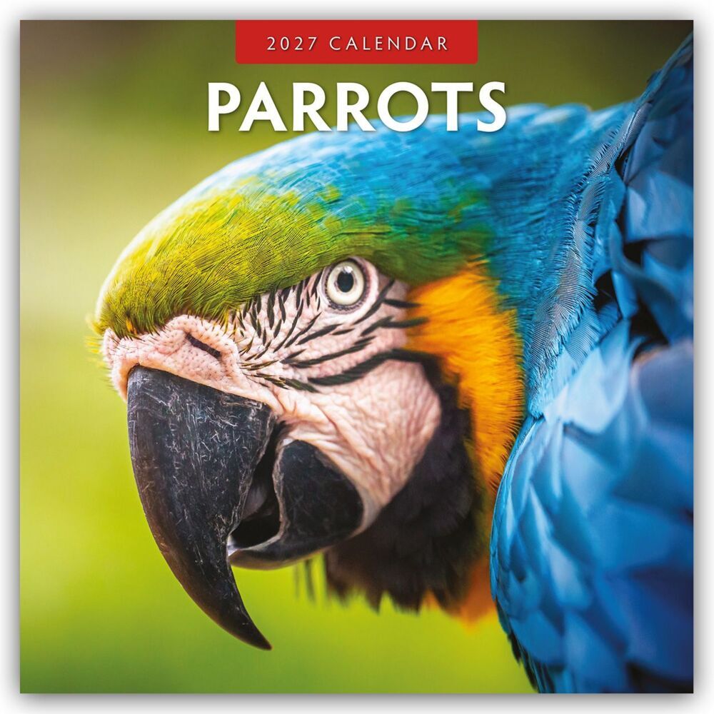 Parrots - Papageien 2027 - 16-Monatskalender (Red Robin Publishing Ltd)