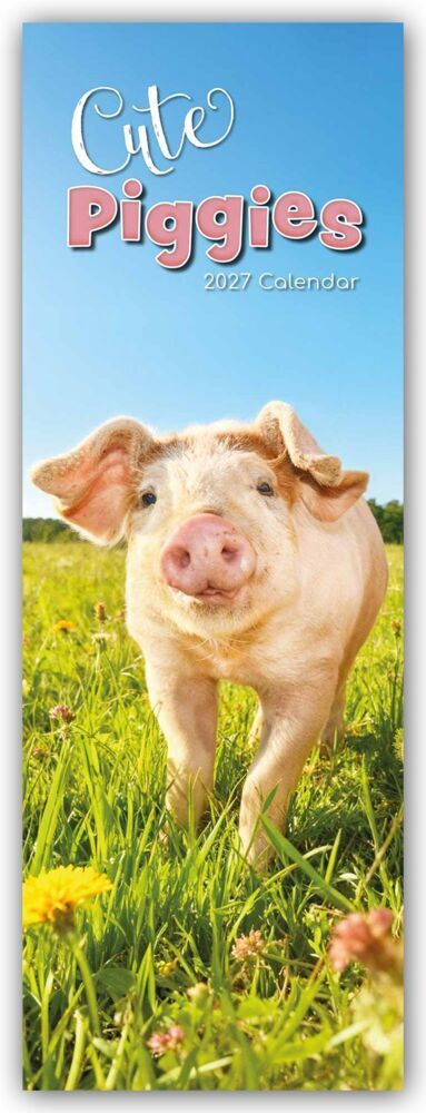 Cute Piggies - Süße kleine Schweinchen - Slimline-Kalender 2027 (Gifted Stationery Co. Ltd)